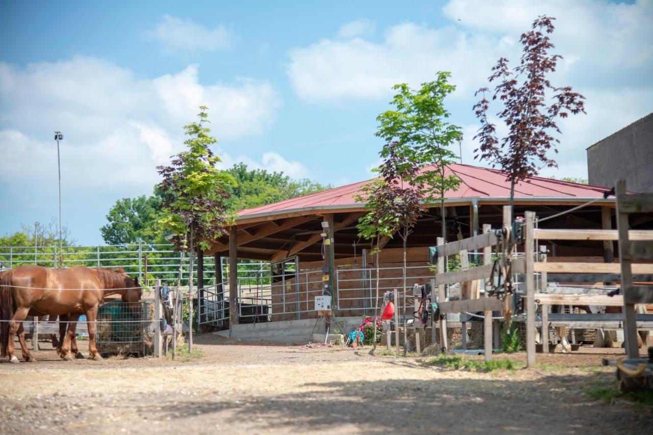 Ranchzimmer Am Hippo-Campus Reit- Und Therapiezentrum Deutsch Haslau Buitenkant foto