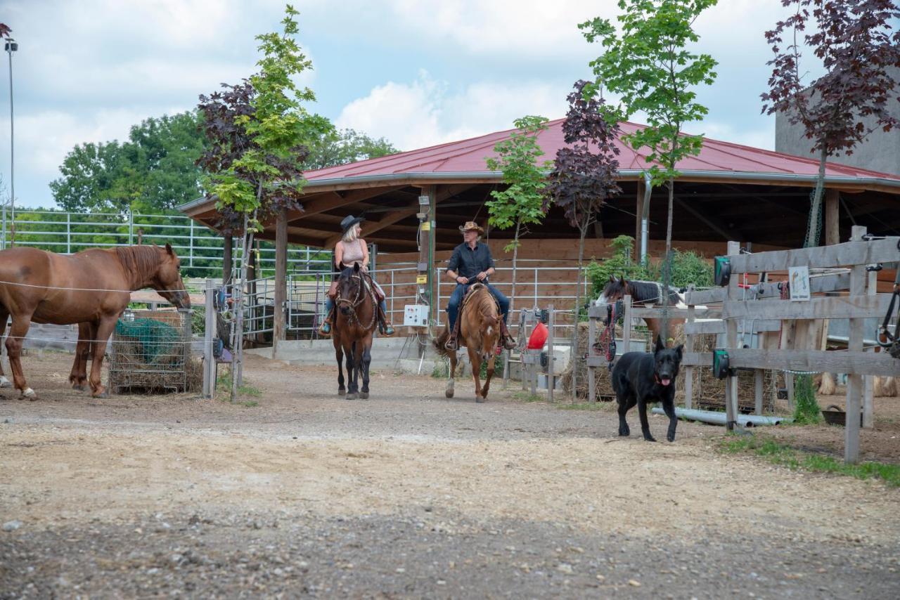 Ranchzimmer Am Hippo-Campus Reit- Und Therapiezentrum Deutsch Haslau Buitenkant foto