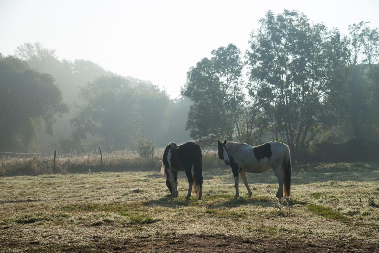 Ranchzimmer Am Hippo-Campus Reit- Und Therapiezentrum Deutsch Haslau Buitenkant foto