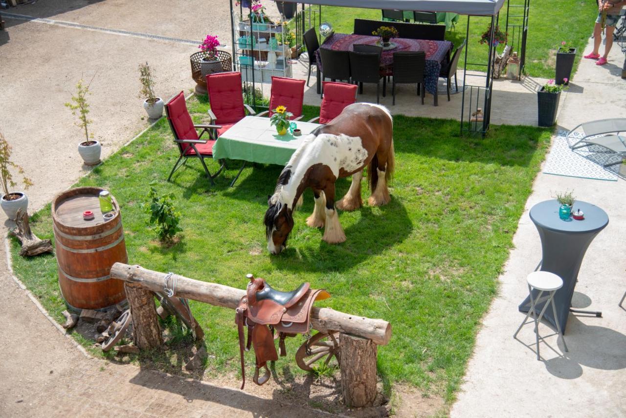Ranchzimmer Am Hippo-Campus Reit- Und Therapiezentrum Deutsch Haslau Buitenkant foto