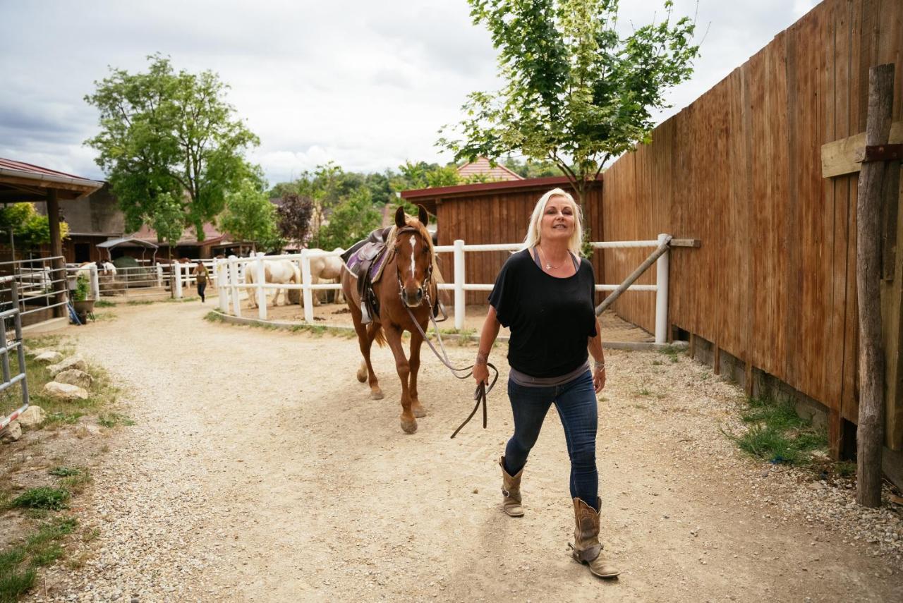 Ranchzimmer Am Hippo-Campus Reit- Und Therapiezentrum Deutsch Haslau Buitenkant foto