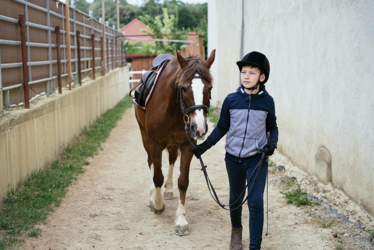 Ranchzimmer Am Hippo-Campus Reit- Und Therapiezentrum Deutsch Haslau Buitenkant foto